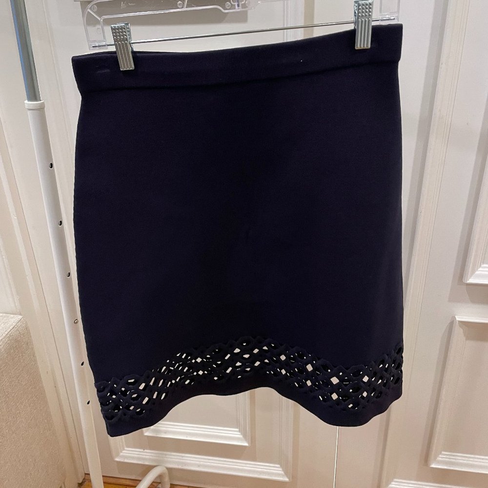 Ann Taylor Navy Skirt (Retail: $98)